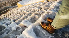 Není to sůl ani písek: Čím je nejlepší posypat cesty při náledí