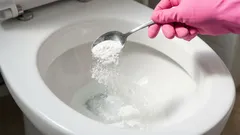 Po ucpání záchodu nezůstane ani stopa: Jednoduchý způsob bez drahé chemie