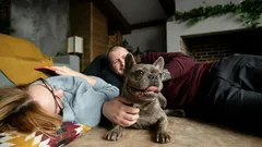 Od čumáku až ke konci ocasu: jak porozumět řeči těla vašeho psa