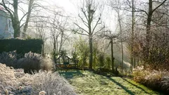 Měli byste v zimě zalévat trávník? Odpověď odborníků