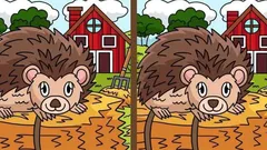 Hlavolam: Dokážete najít 3 rozdíly na obrázku s ježkem za 25 sekund?