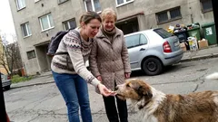 Historka: Jeden listopadový večer mi máma řekla větu, na kterou nezapomenu